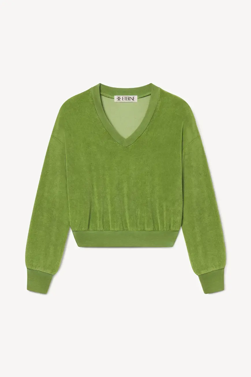 Cb397 77 Fern 1