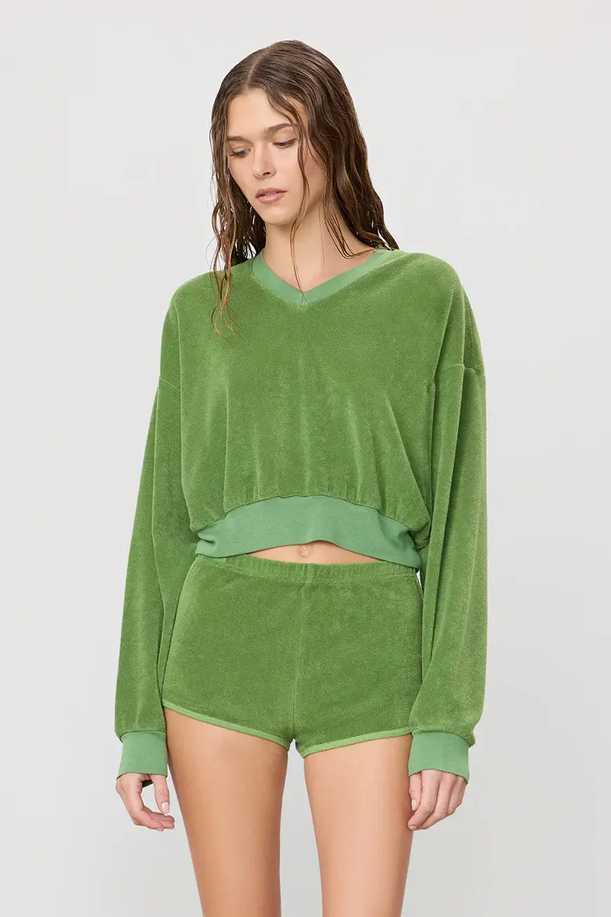 Cb397 77 Fern 2