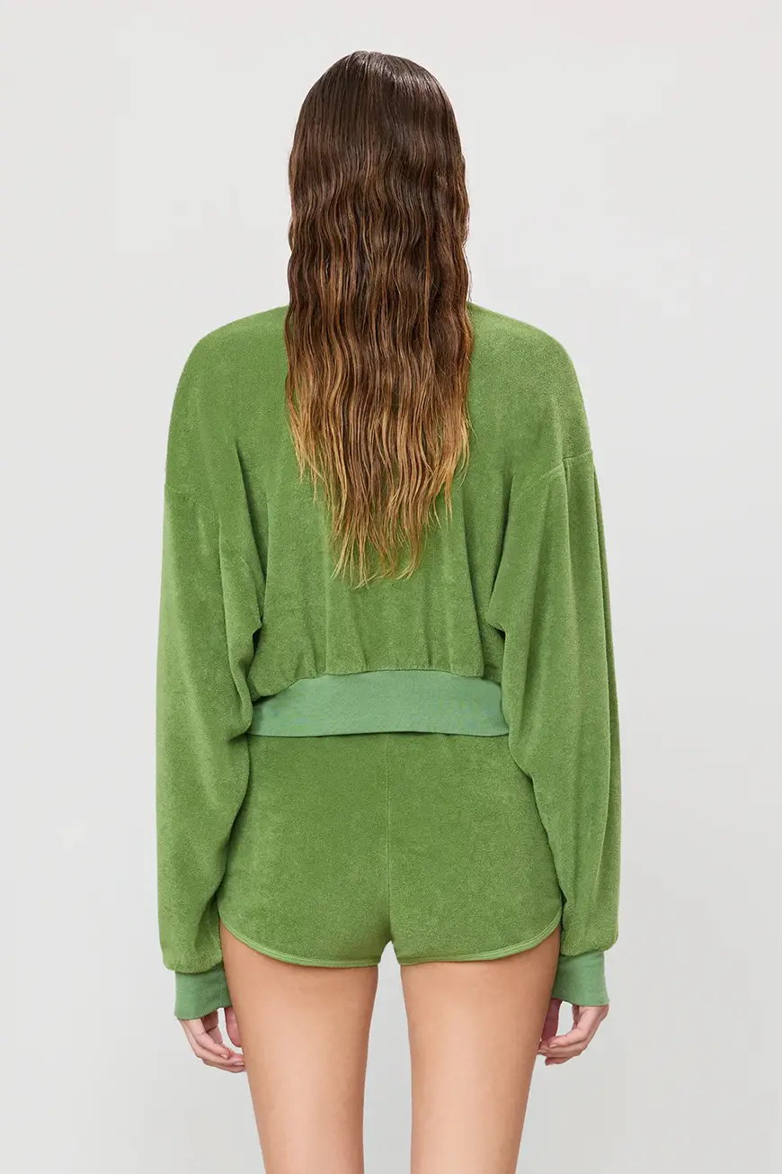 Cb397 77 Fern 4